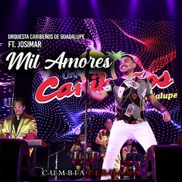 Album cover of Mil Amores