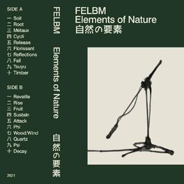 Album cover of Elements of Nature