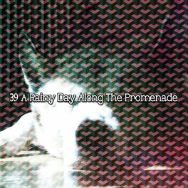 Album cover of 39 A Rainy Day Along The Promenade
