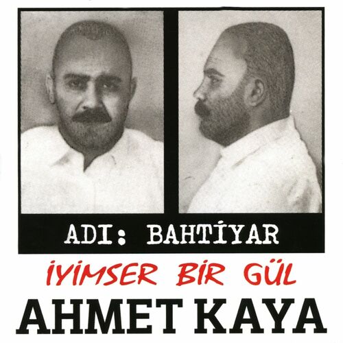 Ahmet Kaya Cek Mustafa Cek Listen With Lyrics Deezer