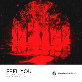Album cover of Feel You