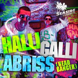 Album cover of Halli Galli Abriss (Headbanger)