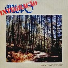 Album cover of Caminhando Para O Lar