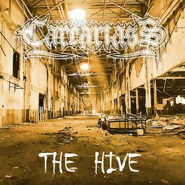 Album cover of The Hive