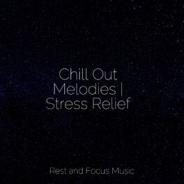 Album cover of Chill Out Melodies | Stress Relief
