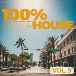 Album cover of 100% Deep House Vol. 9