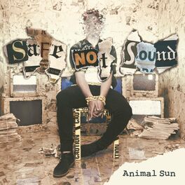 Album cover of Safe Not Sound