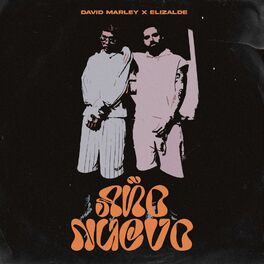 Album cover of año nuevo