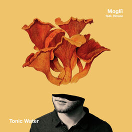 Album cover of Tonic Water
