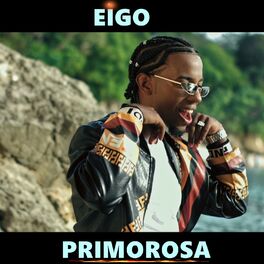 Album cover of Primorosa