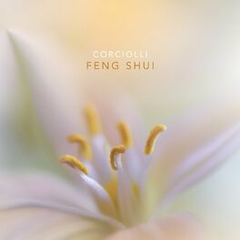 Album cover of Feng Shui