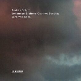 Album cover of Johannes Brahms: Clarinet Sonatas