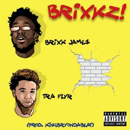 Album cover of Brixkz! (feat. Tra)