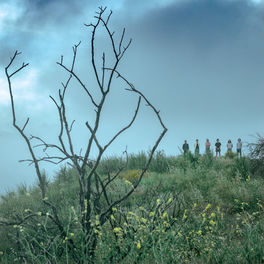 King Gizzard And The Lizard Wizard: albums, songs, playlists ...