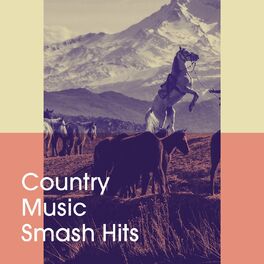 Album cover of Country Music Smash Hits