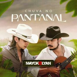 Album cover of Chuva no Pantanal