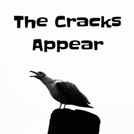 Album cover of The Cracks Appear