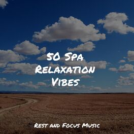 Album cover of 50 Spa Relaxation Vibes