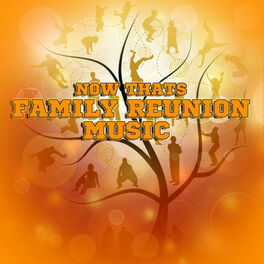 Album cover of Now That's Family Reunion Music