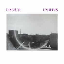 Album cover of Endless