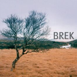 Album cover of Brek