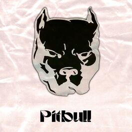 Album cover of PItbull