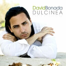Album cover of Dulcinea
