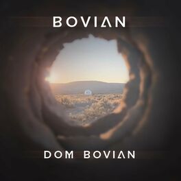Album cover of Dom Bovian
