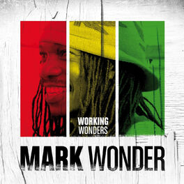 Album cover of Working Wonders