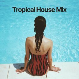 Album cover of Tropical House Mix