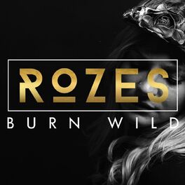 Album cover of Burn Wild