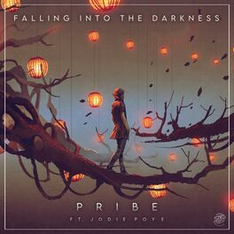 Album cover of Falling Into The Darkness