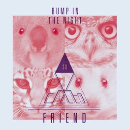 Album cover of Bump in the Night