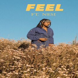Album cover of FEEL (feat. Nesi)