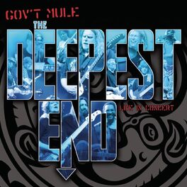 Album cover of The Deepest End (Live)