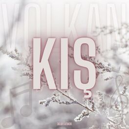 Album cover of Kış (feat. Volkan)