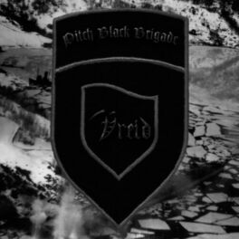 Album cover of Pitch Black Brigade