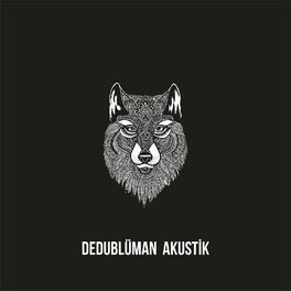 Album cover of Akustik