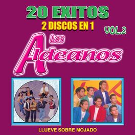 Album cover of Llueve Sobre Mojado (20 Éxitos 2 Discos En 1 Vol.2)