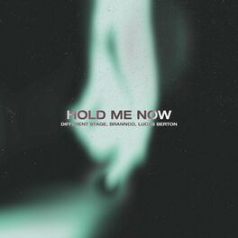 Album cover of Hold Me Now
