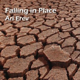 Album cover of Falling in Place
