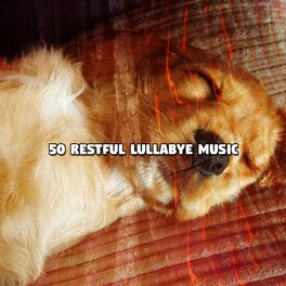 Album cover of 50 Restful Lullabye Music