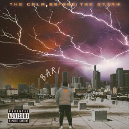 Album cover of The Calm, Before the Storm