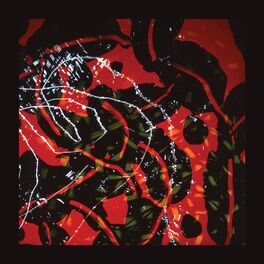 Album cover of Nerve Net