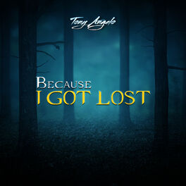 Album cover of Because I Got Lost