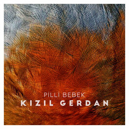 Album cover of Kızıl Gerdan