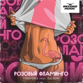 Album cover of Розовый фламинго