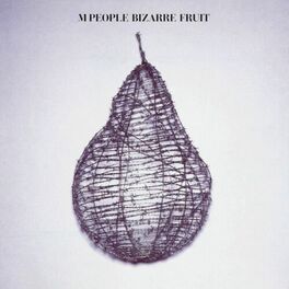 Album cover of Bizarre Fruit