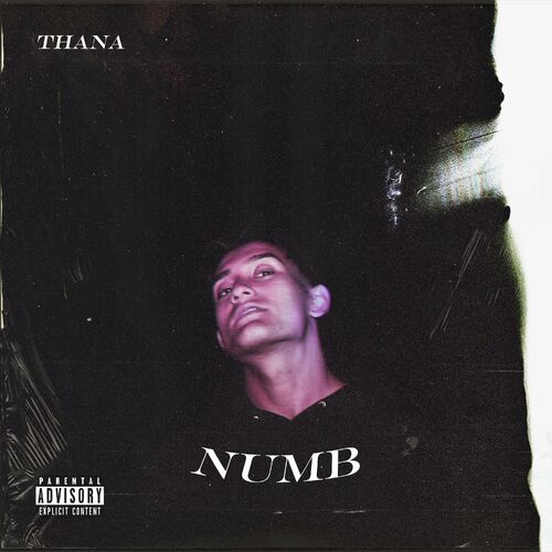 Thana - Numb: lyrics en nummers Deezer.