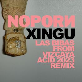 Album cover of Xingu (Las Bibas From Vizcaya Acid 2023 Remix)
